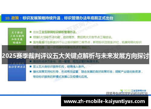 2025赛季裁判评议五大关键点解析与未来发展方向探讨