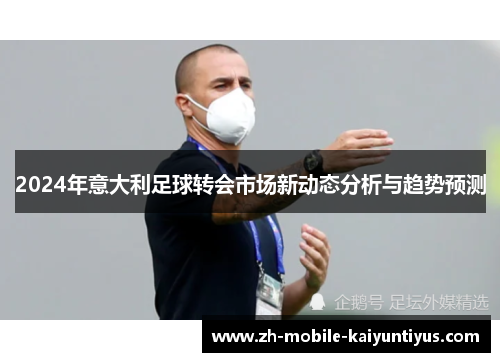 2024年意大利足球转会市场新动态分析与趋势预测