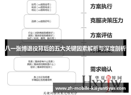 八一张博退役背后的五大关键因素解析与深度剖析