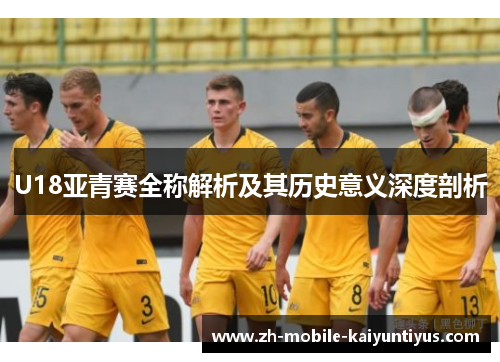 U18亚青赛全称解析及其历史意义深度剖析