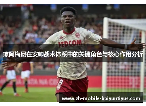 琼阿梅尼在安帅战术体系中的关键角色与核心作用分析