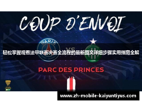 轻松掌握观看法甲联赛决赛全流程的最新图文详细步骤实用指南全解