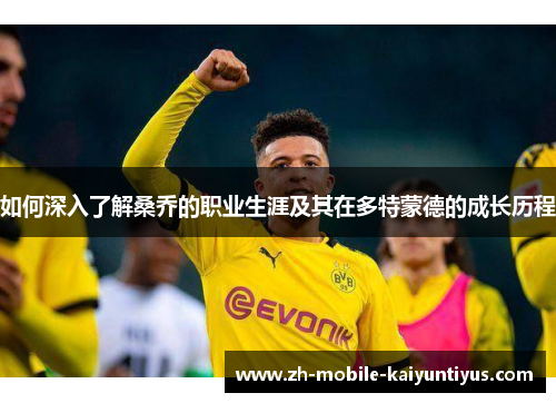 如何深入了解桑乔的职业生涯及其在多特蒙德的成长历程